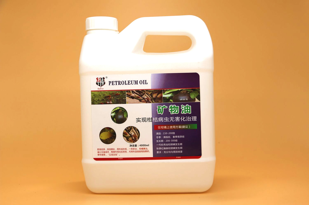 ������ϵ��