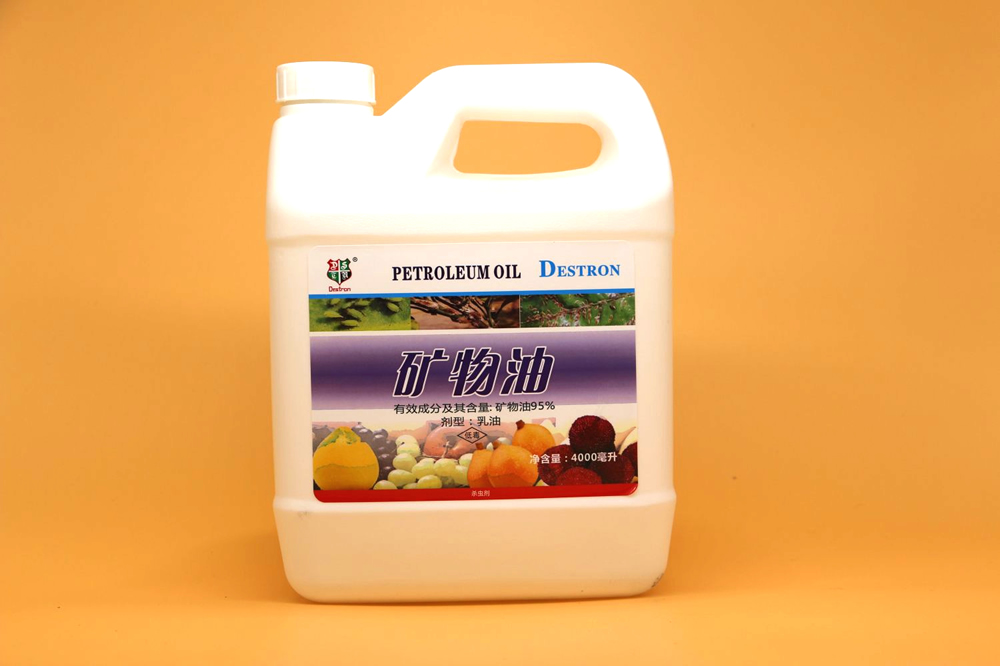 ������ϵ��