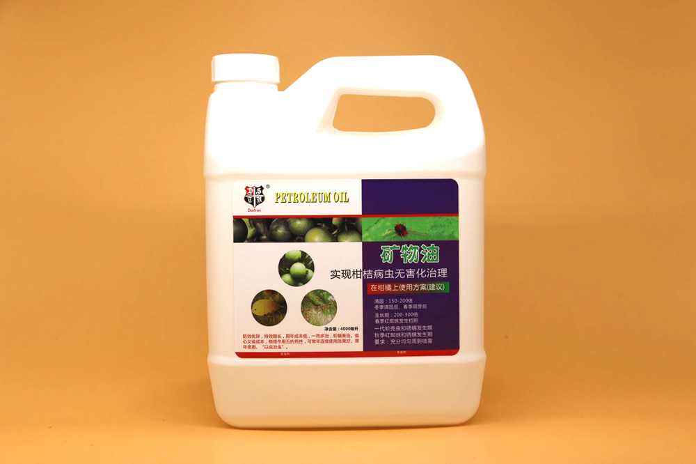 ������ϵ��