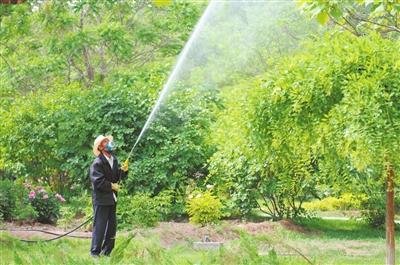 ɱ�����Ĳⶨ����