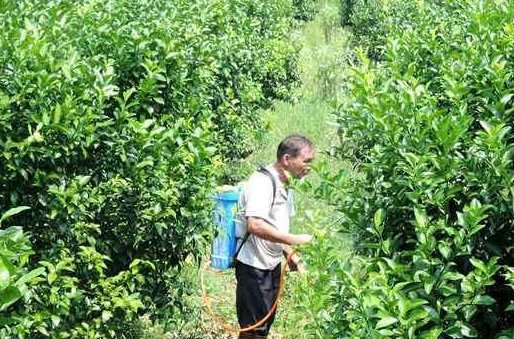 ũҩɱ�������δ�ţ�