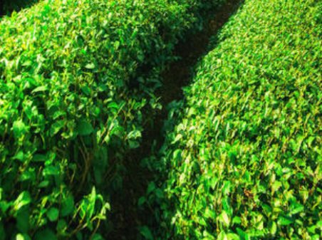 ���ݼ��Ĳ�����������Щ