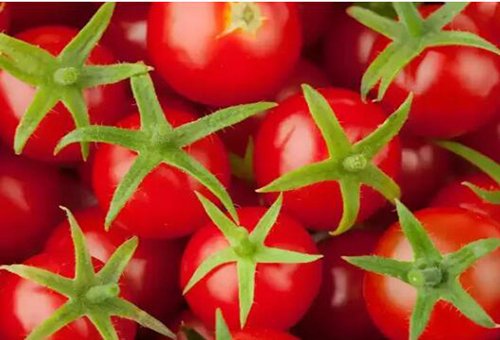 ���Ҵ��﷬�ѳ����������ۺϽ���취