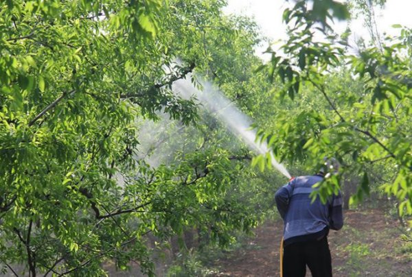 ũҩ��Ʒ������׼֤��������������