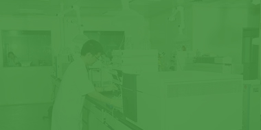 ���Ƶļ���ֶ�